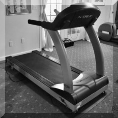 X05. True Treadmill PS 300 - $895